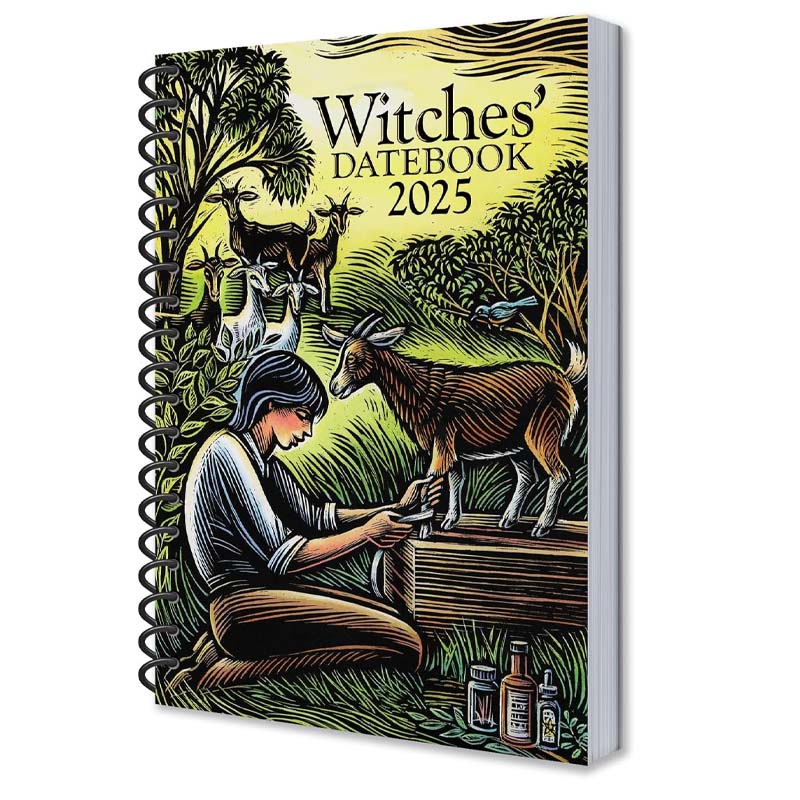 Collection of various witchcraft tools surrounding an open 2025 Witches' Datebook