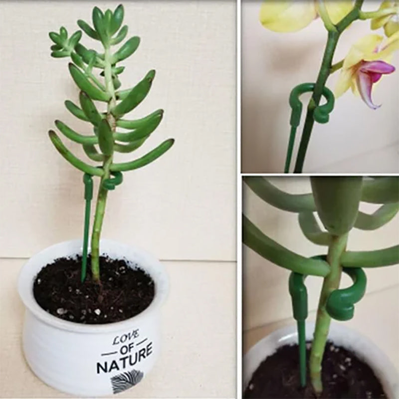 A gardener placing a support stake near a young plant, demonstrating early plant care techniques