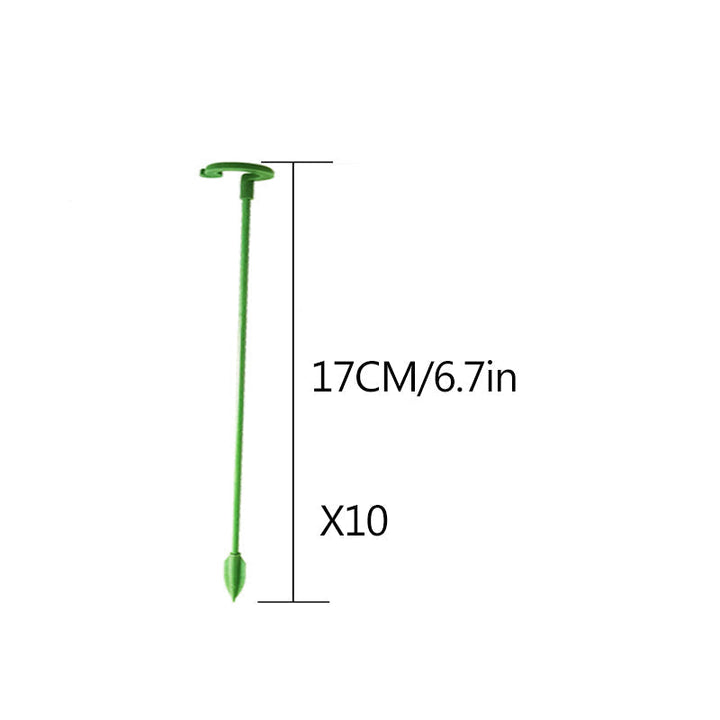 Dynamic shot of garden plant stakes contributing to a lush, well-maintained garden environment