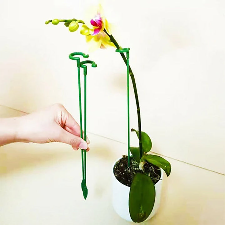 Set of 30 plant support stakes arranged neatly, essential gardening tools for plant care