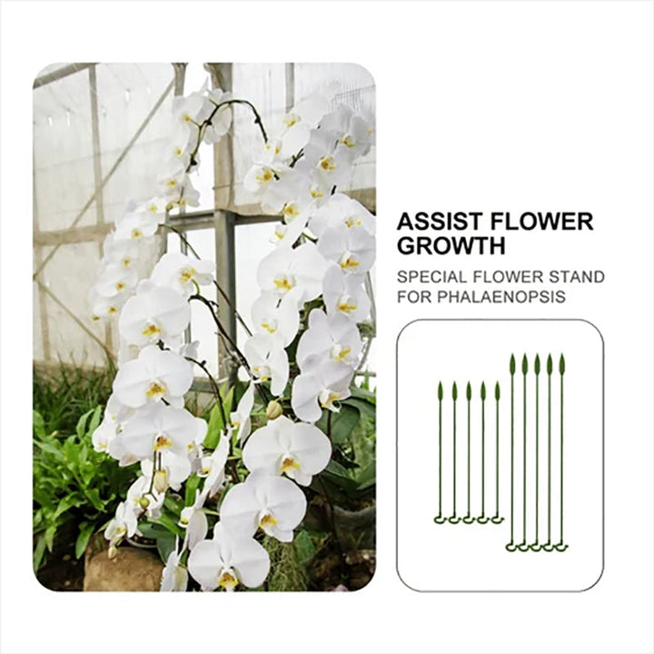 Plant support stakes holding up delicate flowers in a garden, providing crucial flower support
