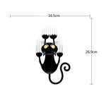 Cat 3