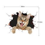 Cat 2