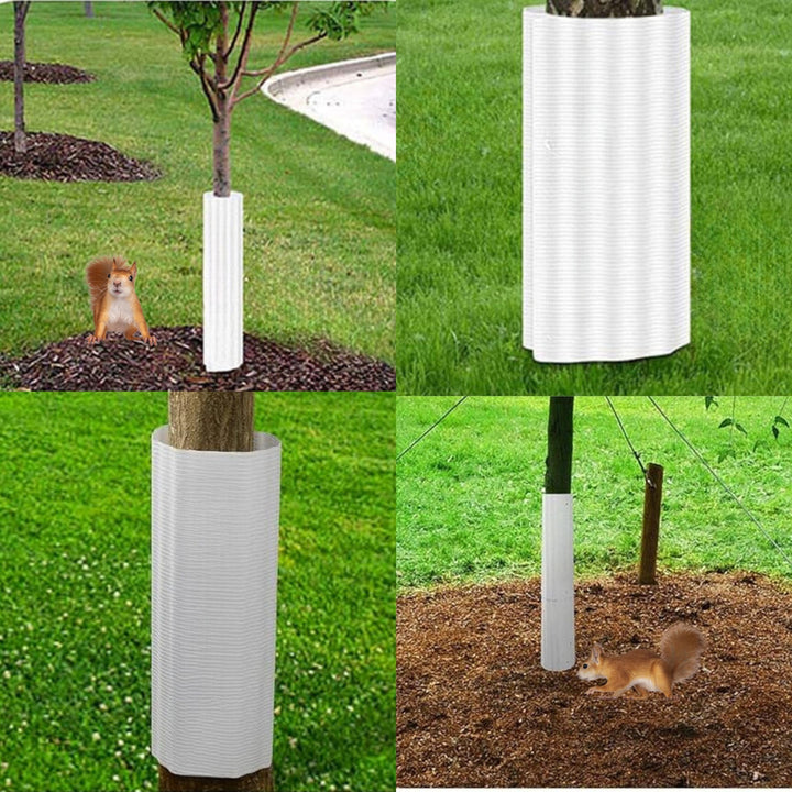 TavvitaImp010 6-pack squirrel baffles offering reliable tree protection & garden pest control.
