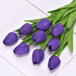 Deep Purple（7pcs）