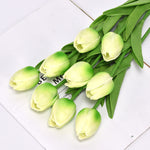Light Green（7pcs）