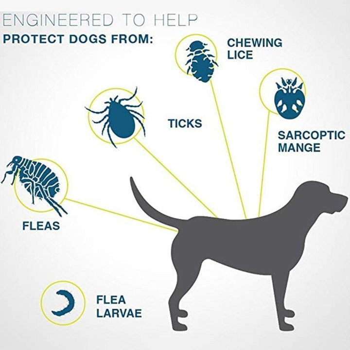 8-month flea & tick protection collar for dogs & cats. Waterproof, long-lasting pet pest control.
