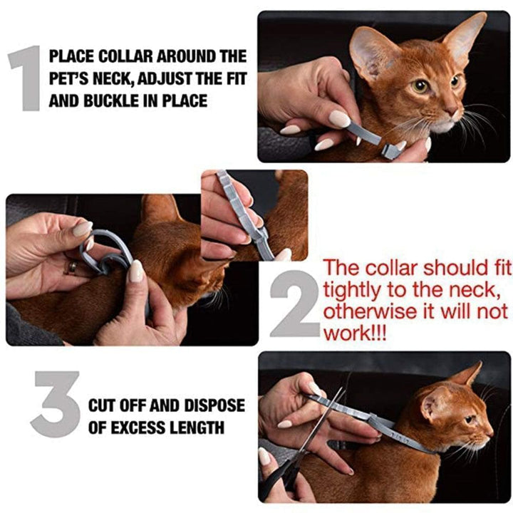 Waterproof and adjustable 8-month flea & tick collar, ensuring continuous pest protection for pets.