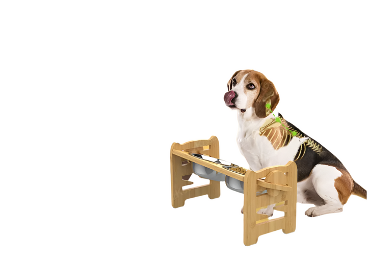 Adjustable elevated pet feeding station with stainless steel bowls, wooden frame, ergonomic design, suitable for all pet size