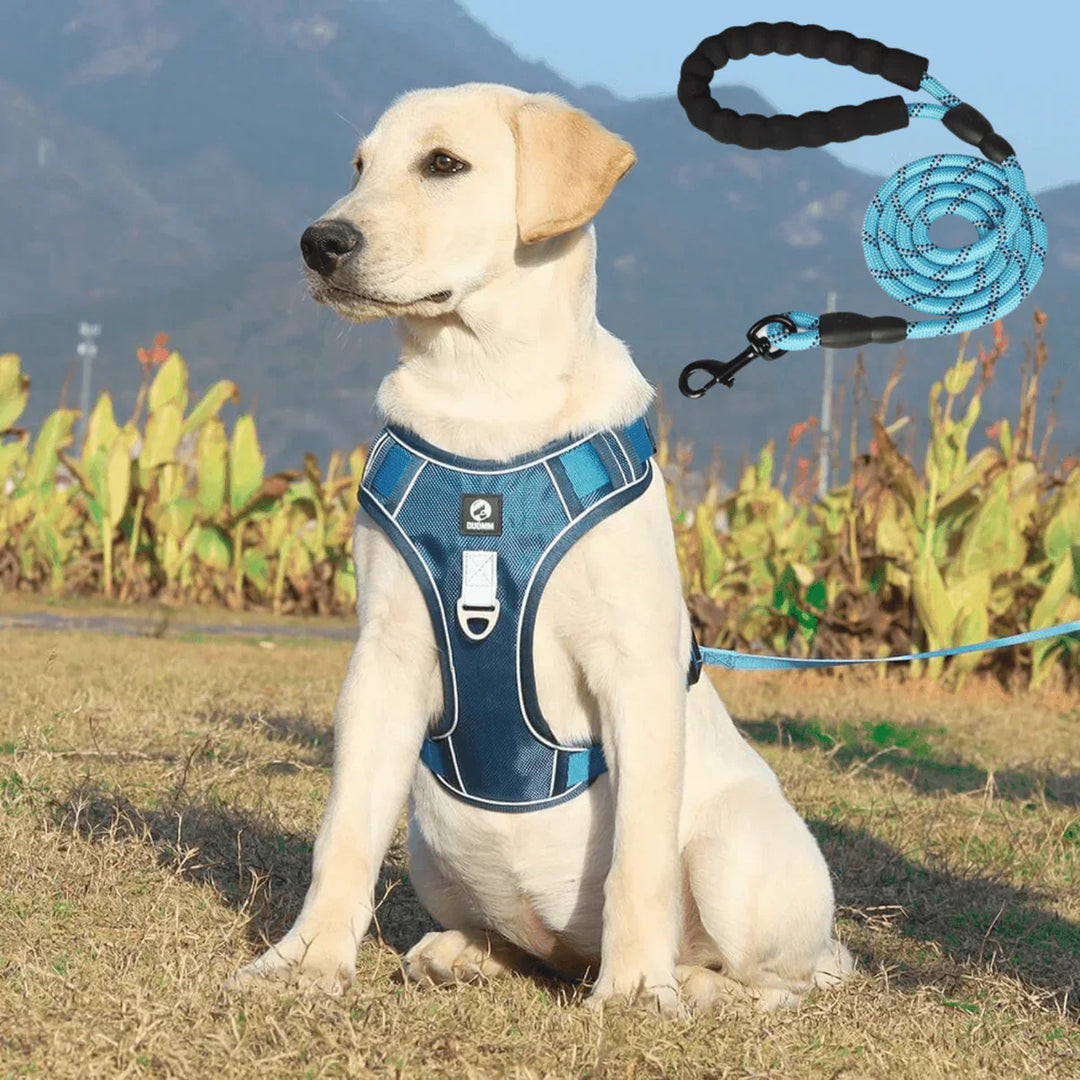 "Anti-Trek Dog Harness in Blue with comfort padding, prevents pulling, adjustable straps, available in multiple colours."