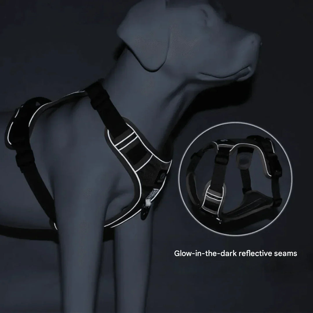"Anti-Trek Dog Harness in Blue with comfort padding, prevents pulling, adjustable straps, available in multiple colours."