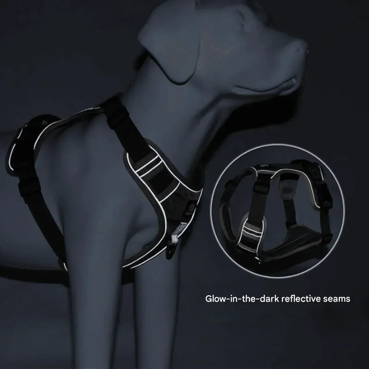 "Anti-Trek Dog Harness in Blue with comfort padding, prevents pulling, adjustable straps, available in multiple colours."