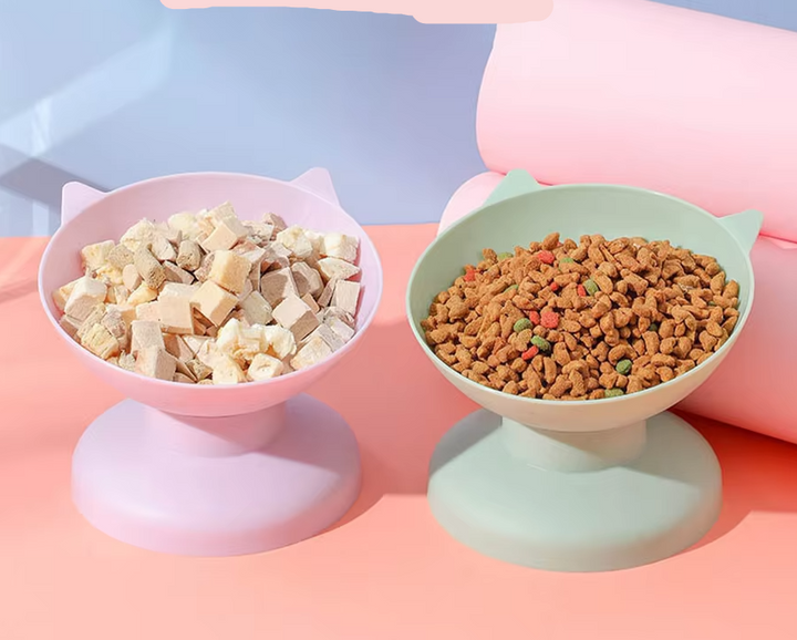 "Cat Feeding Bowl with 15° incline, vibrant colors, ergonomic design, durable non-slip base, perfect for healthy pet dining."