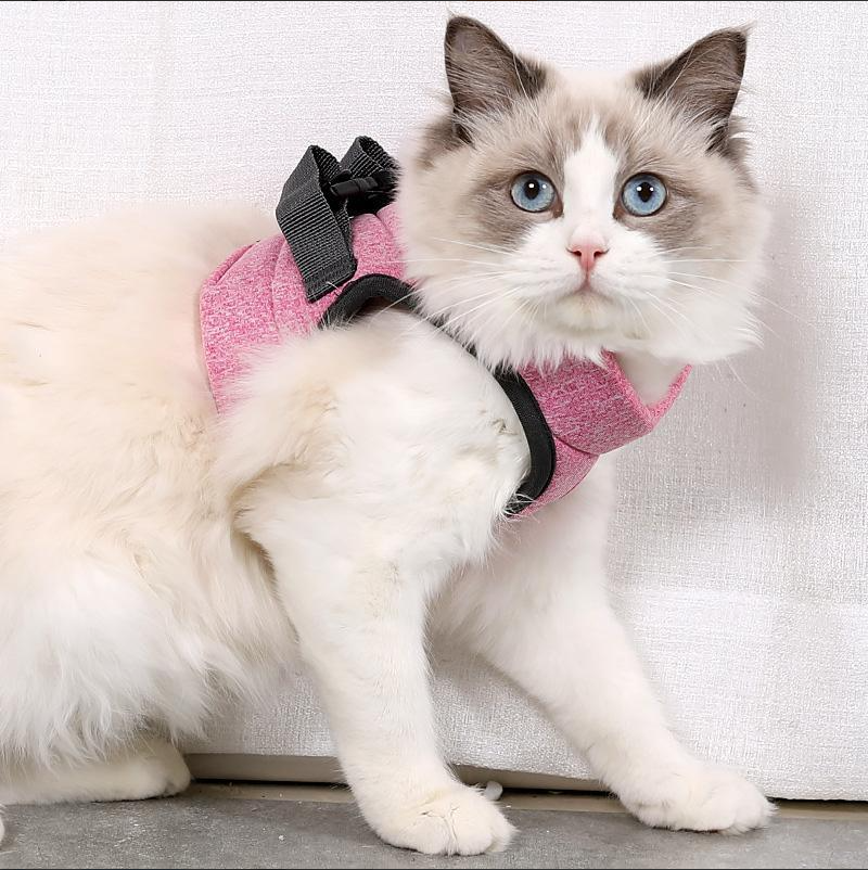 "Comfortable cat harness with lead, anti-escape design, adjustable straps, front view, for safe outdoor adventures."