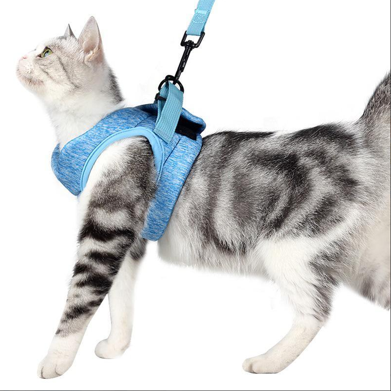 "Comfortable cat harness with lead, anti-escape design, adjustable straps, front view, for safe outdoor adventures."
