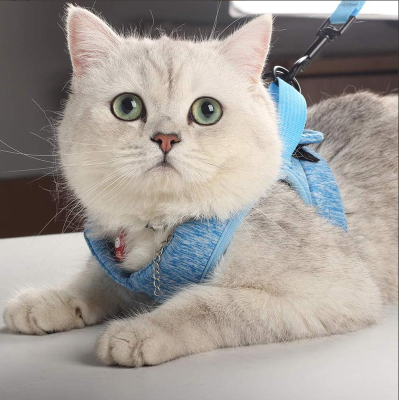 "Comfortable cat harness with lead, anti-escape design, adjustable straps, front view, for safe outdoor adventures."