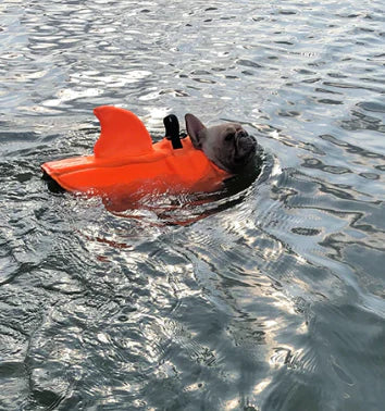 Dog life jacket with shark fin, offering buoyancy and fun for all water activities; bright material, adjustable straps.