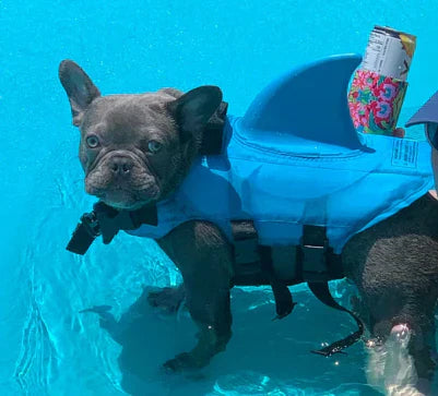 Dog life jacket with shark fin, offering buoyancy and fun for all water activities; bright material, adjustable straps.