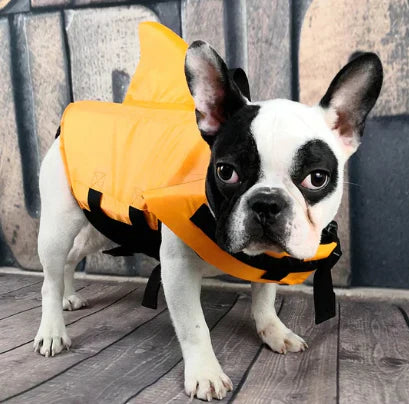 Dog life jacket with shark fin, offering buoyancy and fun for all water activities; bright material, adjustable straps.