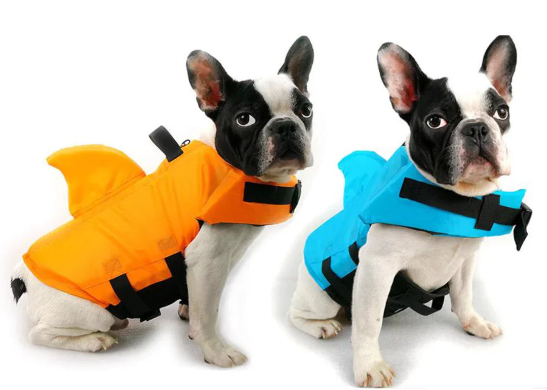 Dog life jacket with shark fin, offering buoyancy and fun for all water activities; bright material, adjustable straps.