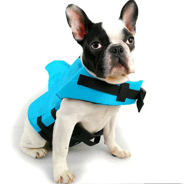 Dog life jacket with shark fin, offering buoyancy and fun for all water activities; bright material, adjustable straps.
