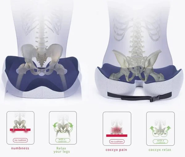 "Ergonomic memory foam sit bone relief cushion for office or car, contoured for tailbone support, adjustable firmness."