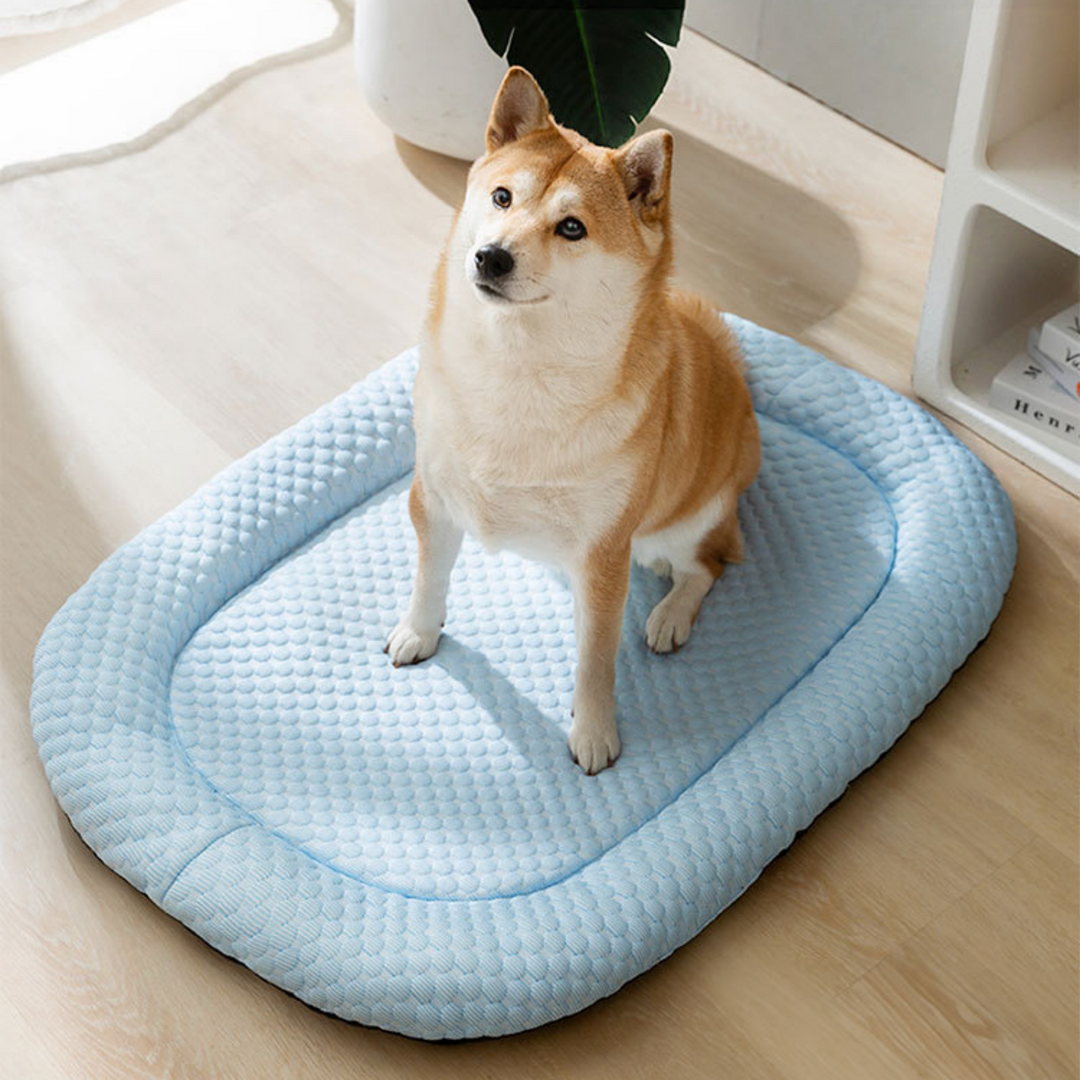 "Ice-silk cooling pet bed, soft blue with smooth texture, ideal for hot weather. Comfortable, breathable, and pet-friendly."