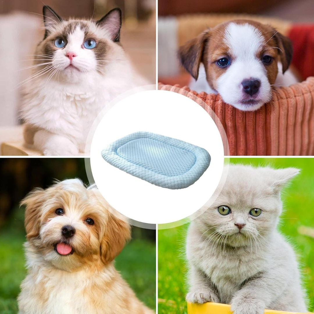"Ice-silk cooling pet bed, soft blue with smooth texture, ideal for hot weather. Comfortable, breathable, and pet-friendly."
