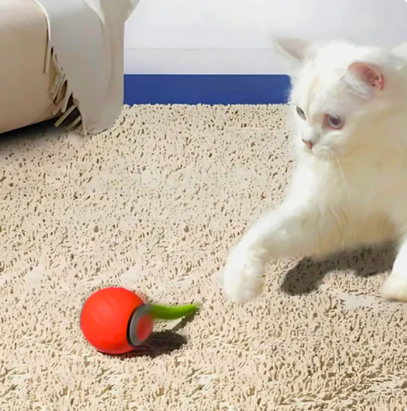 "Interactive rolling cat toy ball with vibrant feather tail, designed to engage and stimulate your cat's play instincts."