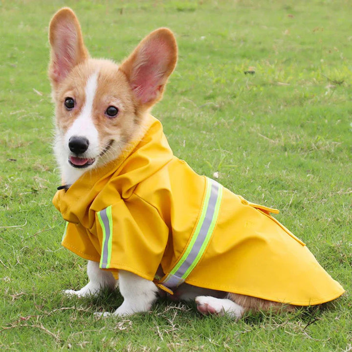 "Unisex waterproof dog jacket with hood and reflective stripes, ideal for rain and wind protection, adjustable fit."