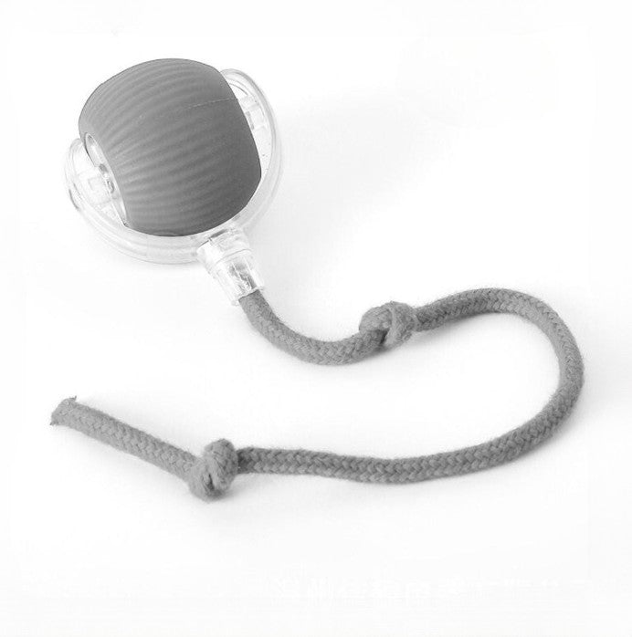 Interactive Dog Play Ball with Tail for Exercise & Fun