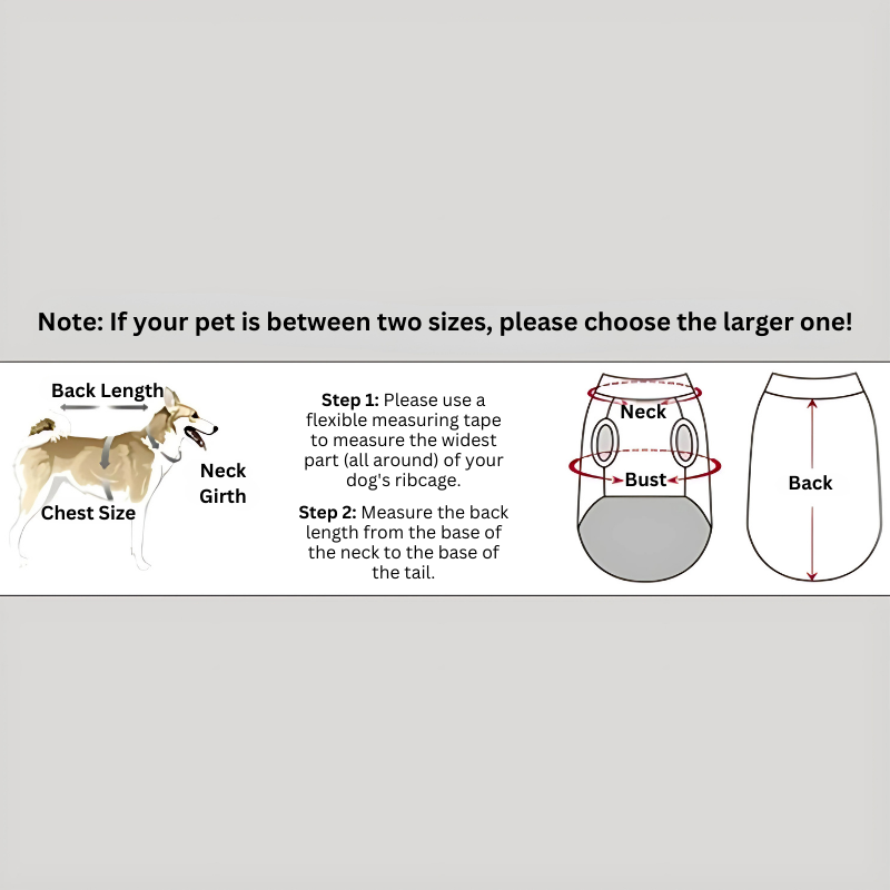 "Waterproof dog winter jacket with built-in harness, reflective stripes, and sherpa lining in vibrant colors for cold weather