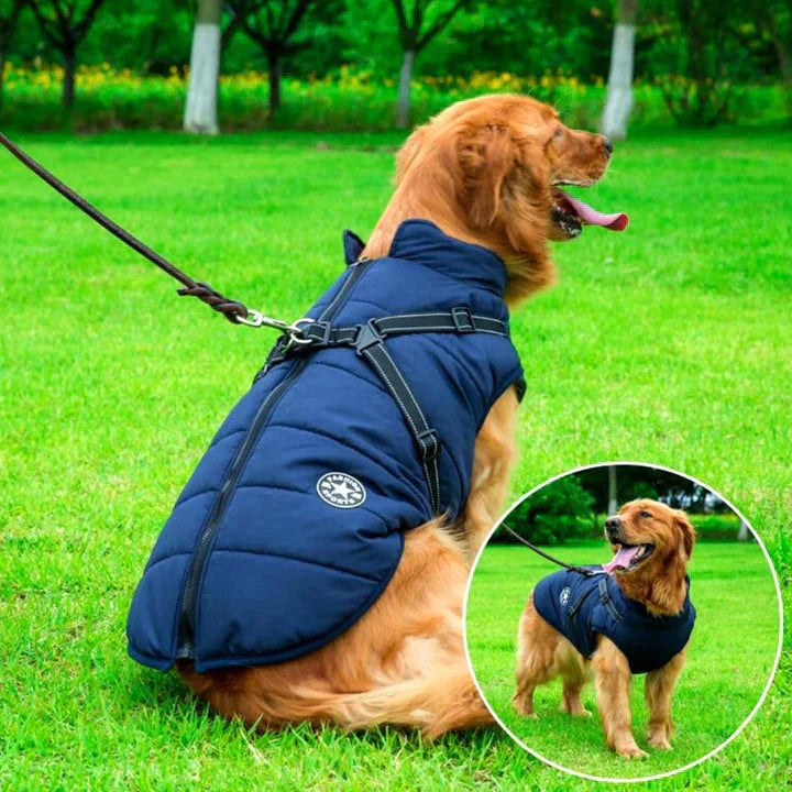 "Waterproof dog winter jacket with built-in harness, reflective stripes, and sherpa lining in vibrant colors for cold weather