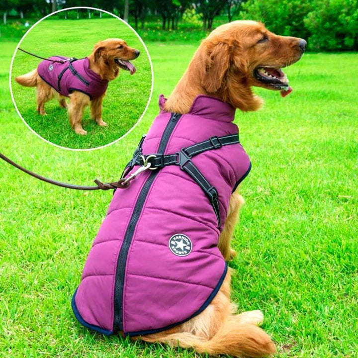 "Waterproof dog winter jacket with built-in harness, reflective stripes, and sherpa lining in vibrant colors for cold weather