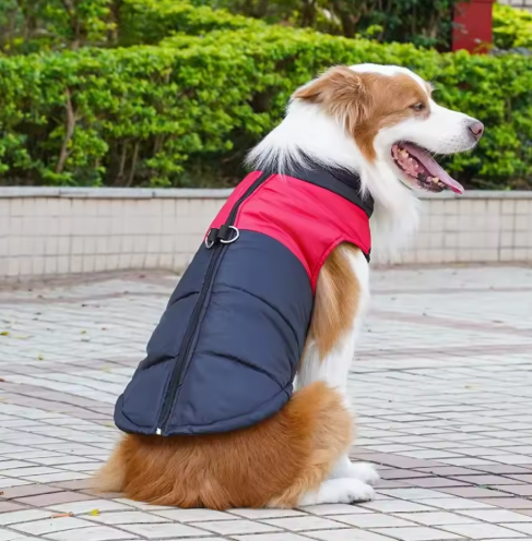 Waterproof warm pet jacket, blue with reflective elements, snug fit, ideal for cold, rainy days. Keep dogs cozy and protected