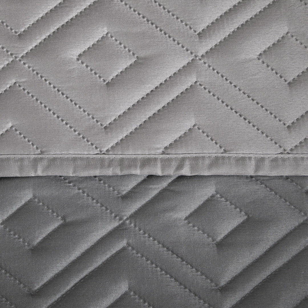 "Water-repellent non-slip reversible sofa cover protecting couch from spills and stains with pet sitting on it"