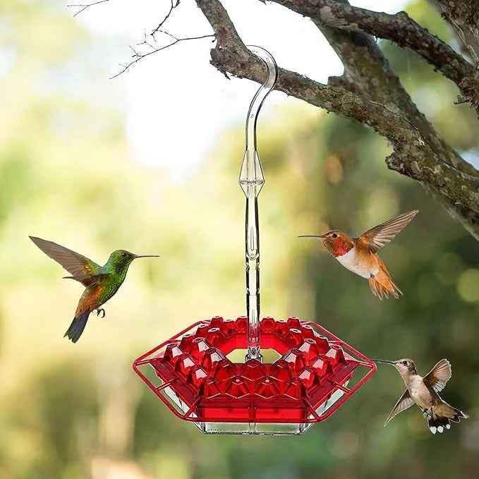 Ant-proof outdoor hummingbird feeder with perch, perfect for garden birdwatching.