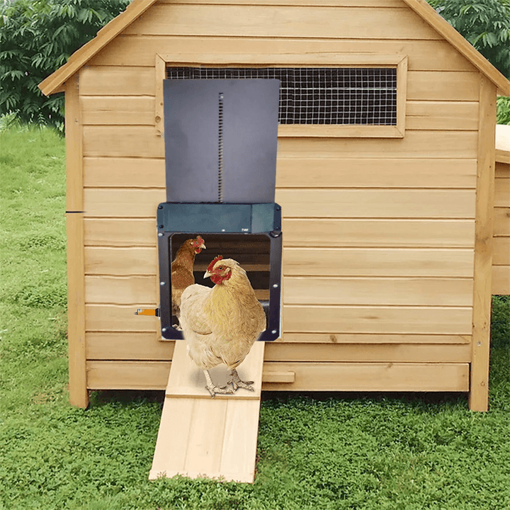 Outdoor automatic chicken coop door, light sensor activated, ensuring safety for your poultry flock