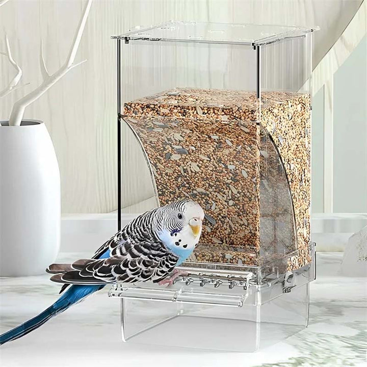 Automatic no-spill transparent bird feeder for cages, perfect pet supply for bird care