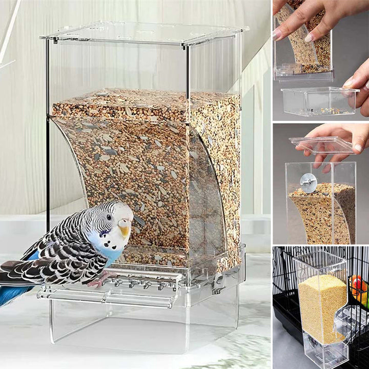 Compact automatic no-spill transparent bird feeder ideal for parakeets, finches, and small birds