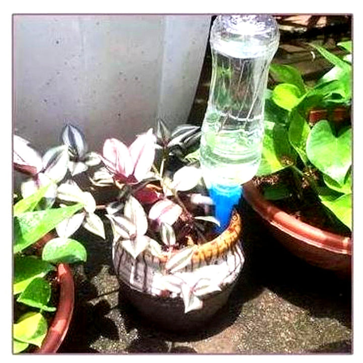 Vacation Self-Watering Spikes ensure your indoor & outdoor plants thrive while you're away. Easy plant care.