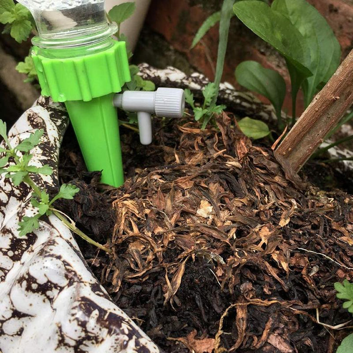 Easy-to-use automatic watering spikes for plants, ensuring lush, healthy greenery while you're away