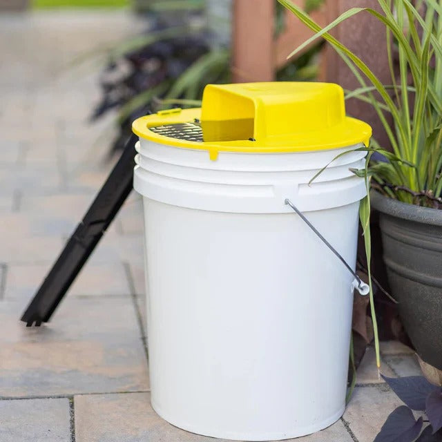 Hands-free automatic rodent bucket trap. Efficient & reusable pest control for mice, rats, and other rodents.