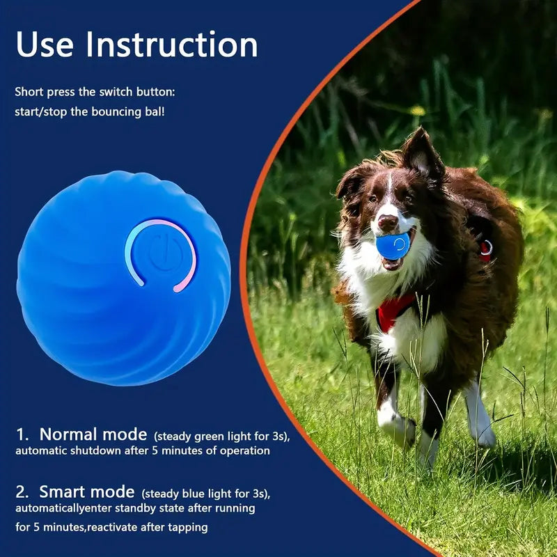 Pet toy ball, automatic rolling, made for independent dog playtime and engagement