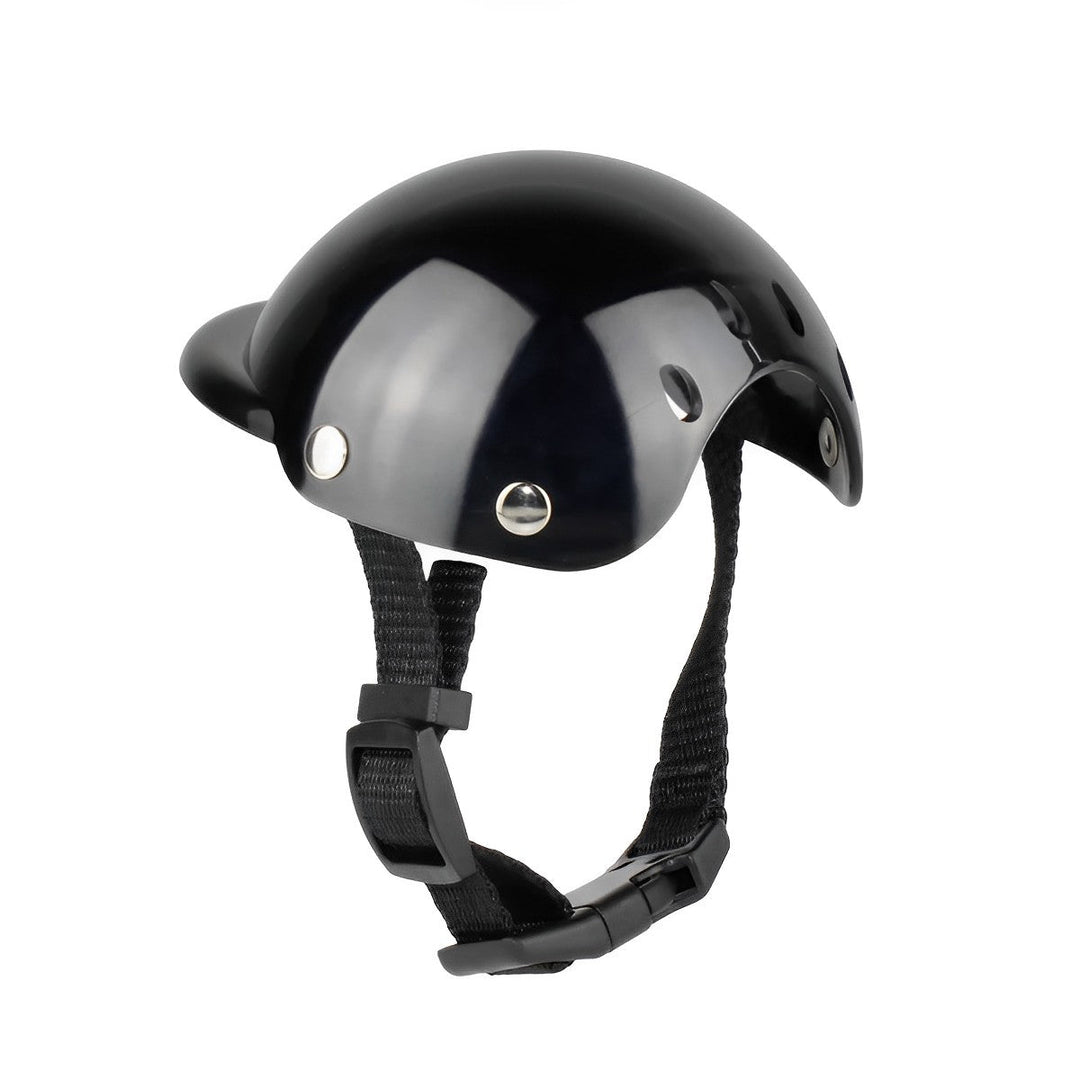 Durable dog riding helmet & protective goggles ensure pet safety for outdoor activities.
