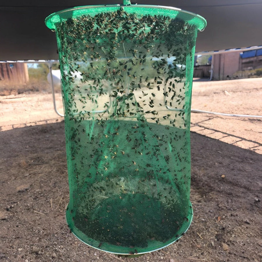 Reusable outdoor fly trap for stable flies; a chemical-free insect repellent ideal for garden & farm pest control.