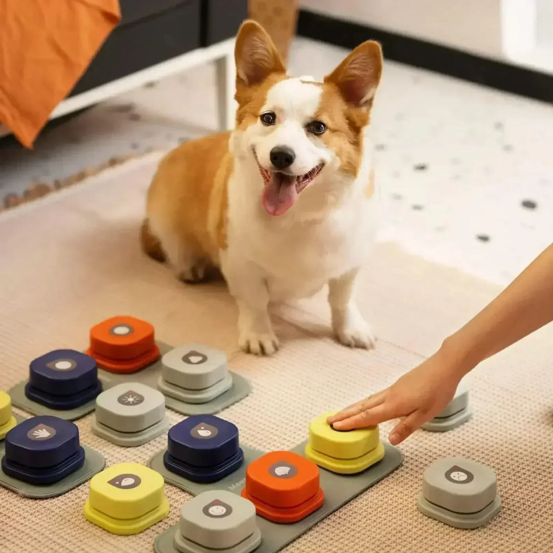 Colorful pet dog talking buttons set for enhanced communication & dog training. Interactive toy for mental stimulation.