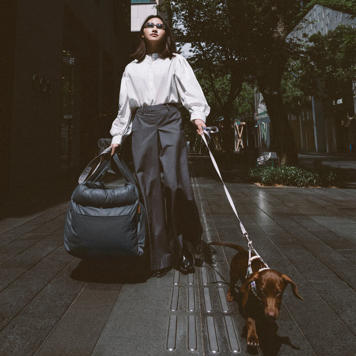 Stylish faux leather dog car seat. A secure & cozy booster for pet travel and ultimate comfort.