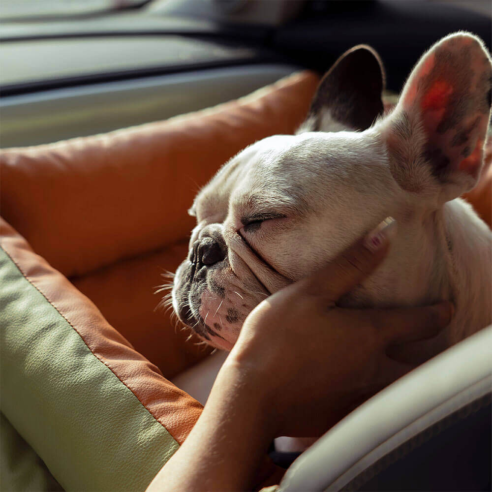 Breathable faux leather dog car seat. A comfortable and safe booster for stress-free pet travel.