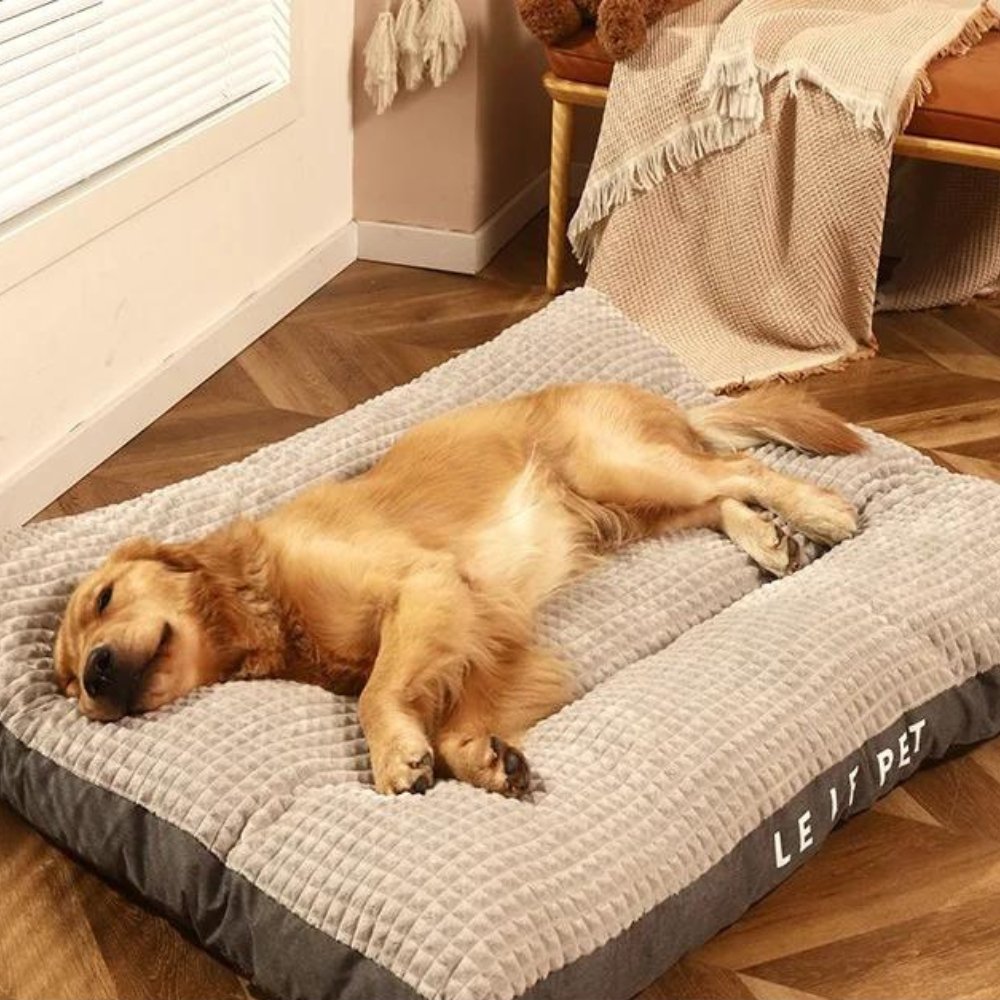 Washable fleece dog bed for small to large dogs. Provides ultimate comfort & cozy pet furniture.
